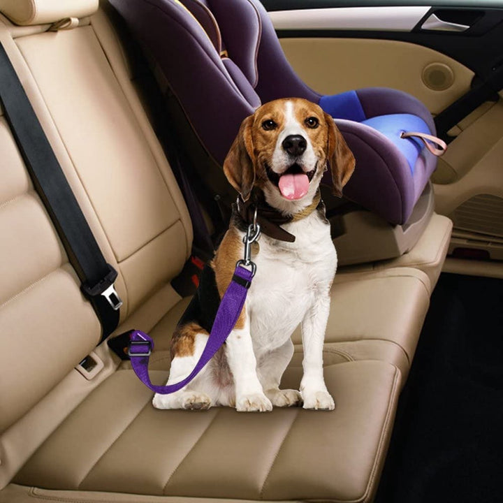 Lisslune | PETECURE – Adjustable Dog Seat Belt for Safe Car Travel