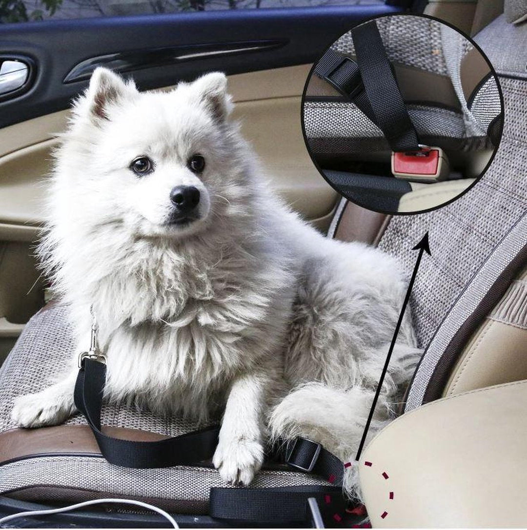 Lisslune | PETECURE – Adjustable Dog Seat Belt for Safe Car Travel