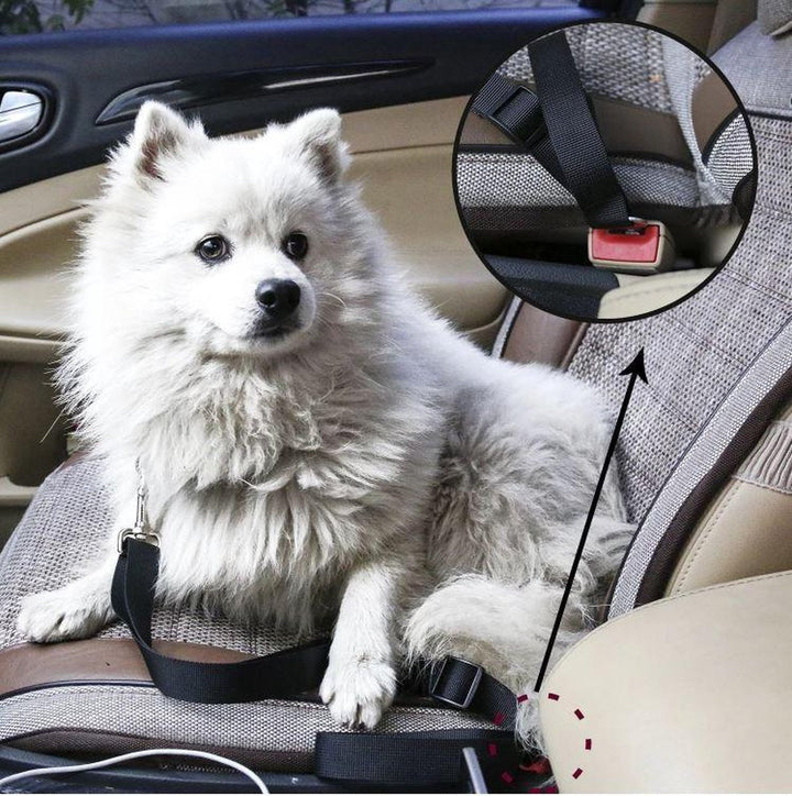 Lisslune | PETECURE – Adjustable Dog Seat Belt for Safe Car Travel