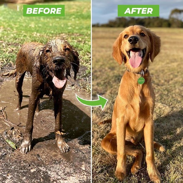 Lisslune | PetWash 360° – High-Pressure Dog Bath Spray with 3 Modes & Water Control