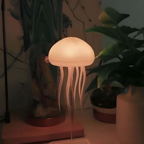 Lisslune | SNOW