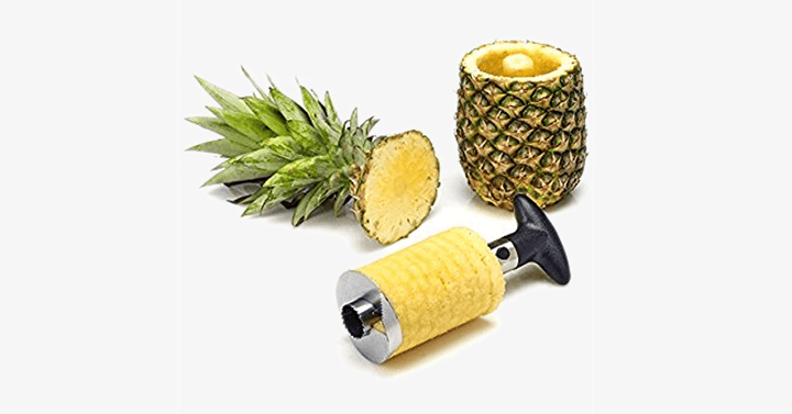 Lisslune | Stainless Steel Pineapple Cutter - The best friend of your kitchen!
