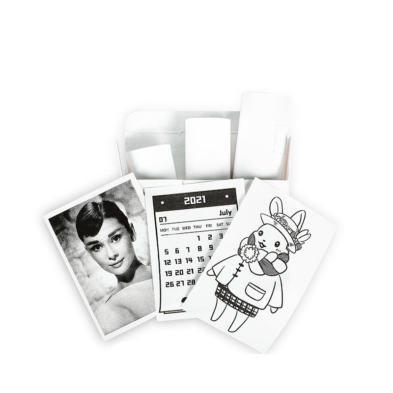 Lisslune | PrintAura Mini Pocket Printer | Portable inkless thermal printer for photos, notes, and documents