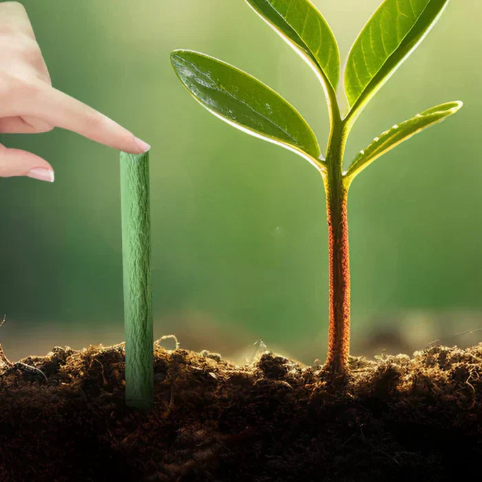 Lisslune | EcoBloom Nutrient Sticks – Long-term Fertilizer for Easy and Sustainable Plant Care