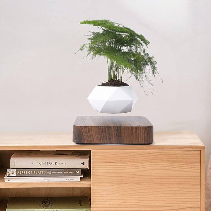 Lisslune | Magnetic Levitating Flower Pot with LED Light - Floating Planter for Home Decor & Unique Gifts