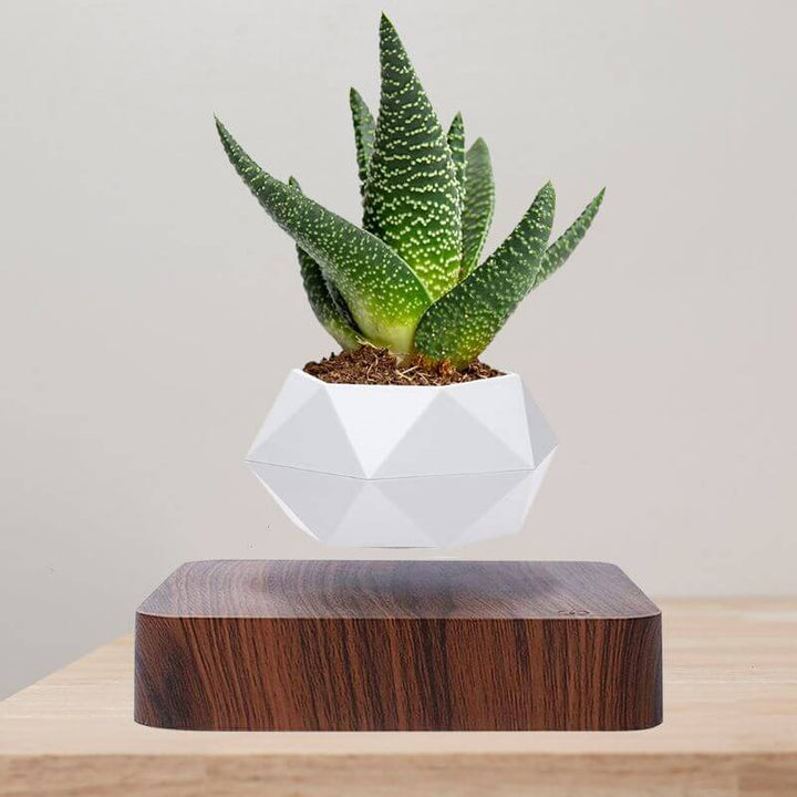 Lisslune | Magnetic Levitating Flower Pot with LED Light - Floating Planter for Home Decor & Unique Gifts