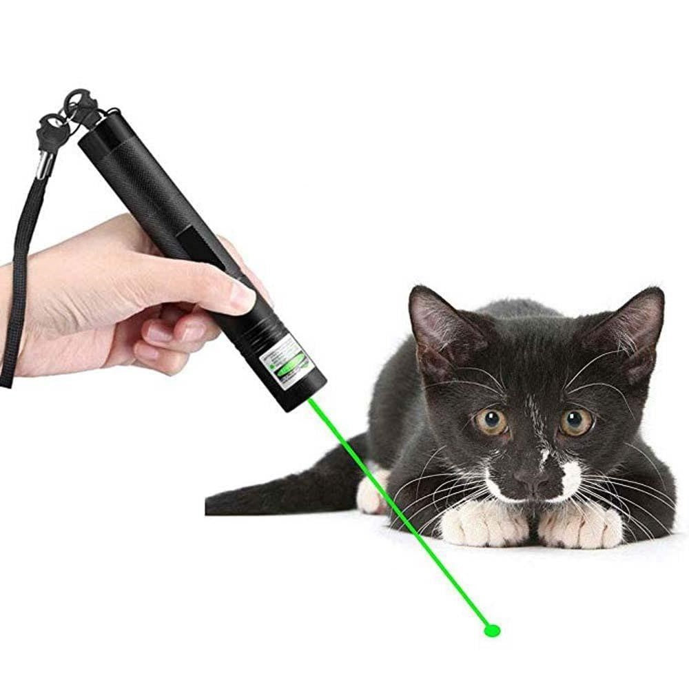 Lisslune | Powerful Laser Pointer - PrecisionBeam