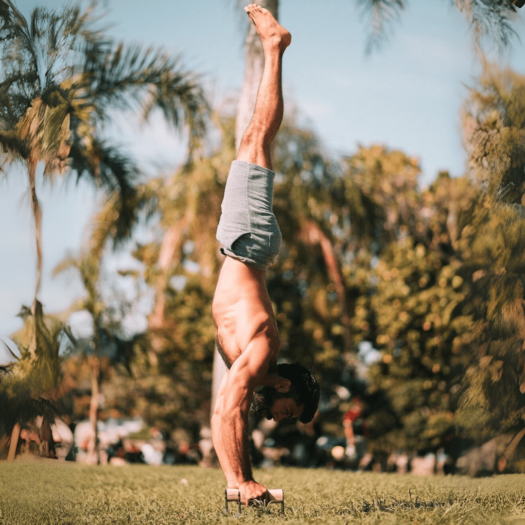Lisslune | PowerGrip Wooden Push Parallettes – Ergonomic Handstand Bars with Anti-Slip Base for Strength Training