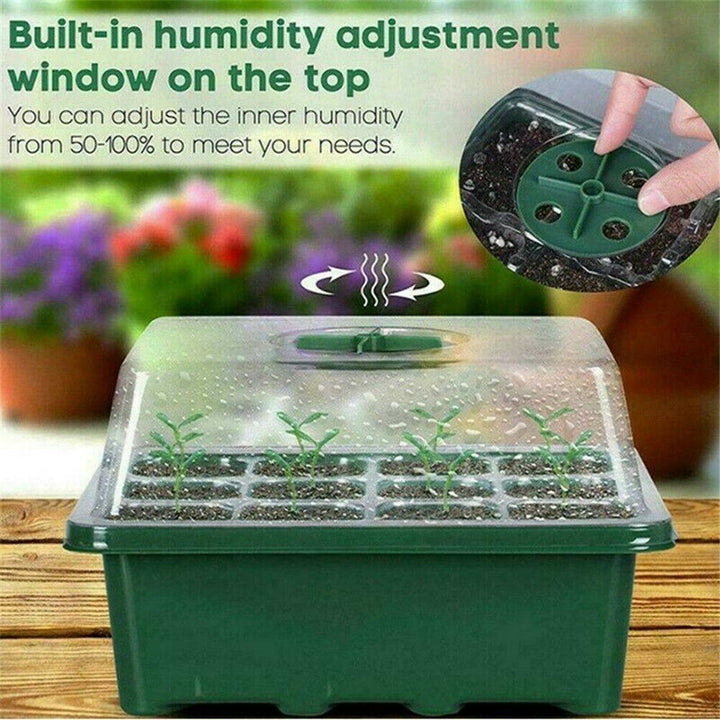 Lisslune | Ultimate Plant Growth Booster Kit for Bonsai, Flowers and Herbs