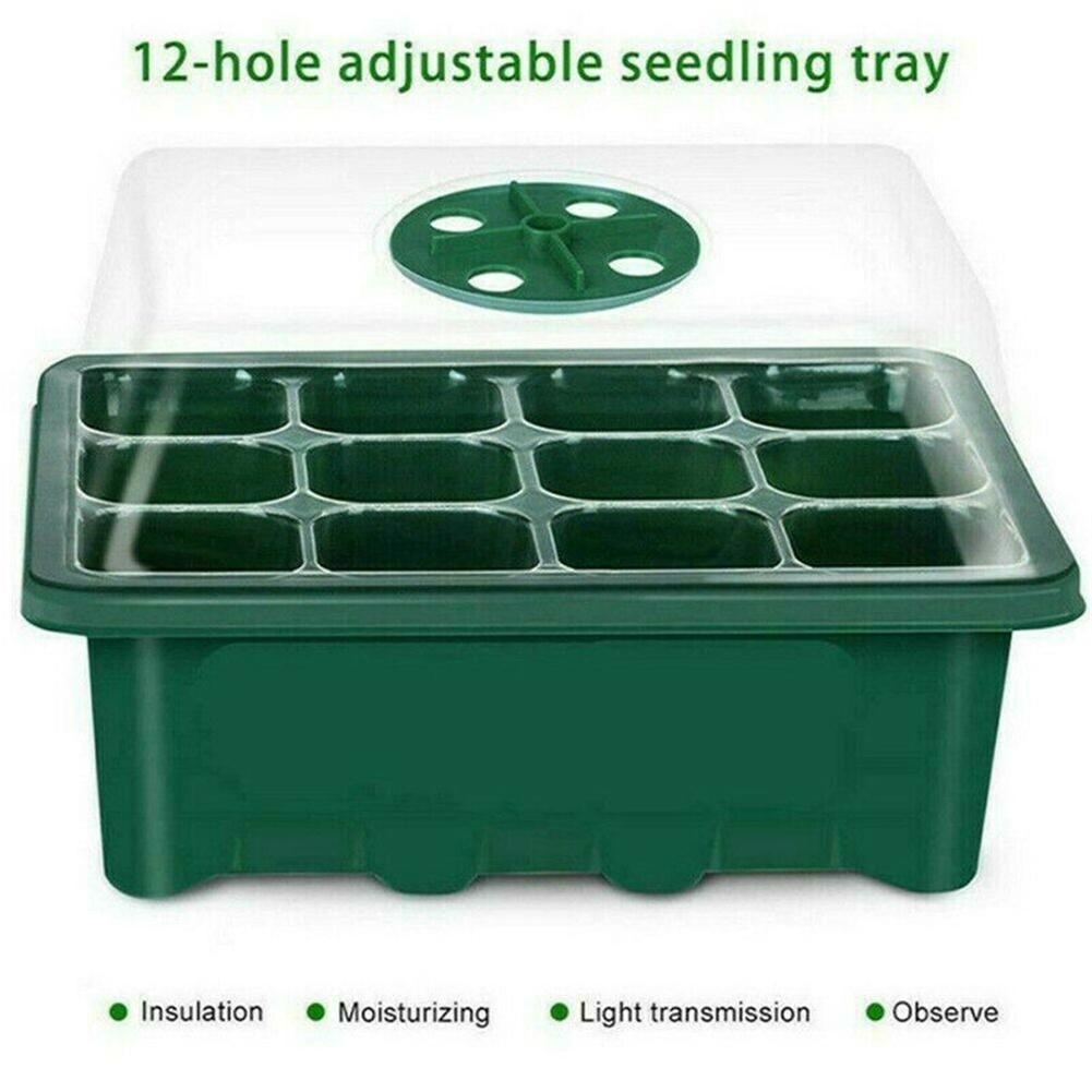 Lisslune | Ultimate Plant Growth Booster Kit for Bonsai, Flowers and Herbs