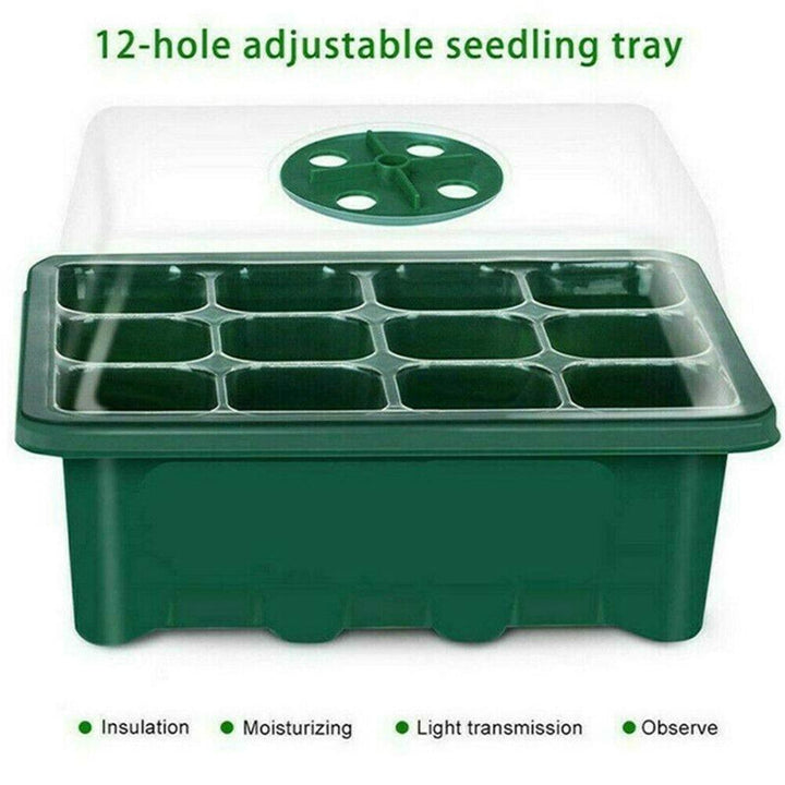 Lisslune | Ultimate Plant Growth Booster Kit for Bonsai, Flowers and Herbs