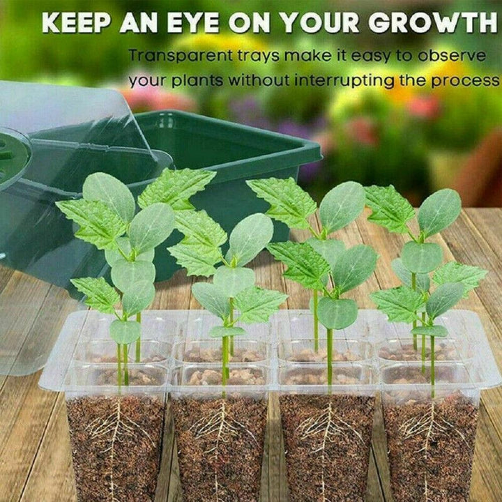 Lisslune | Ultimate Plant Growth Booster Kit for Bonsai, Flowers and Herbs
