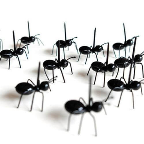 Lisslune | 12Pcs Ants Food Fruit Holder