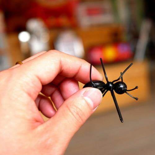 Lisslune | 12Pcs Ants Food Fruit Holder