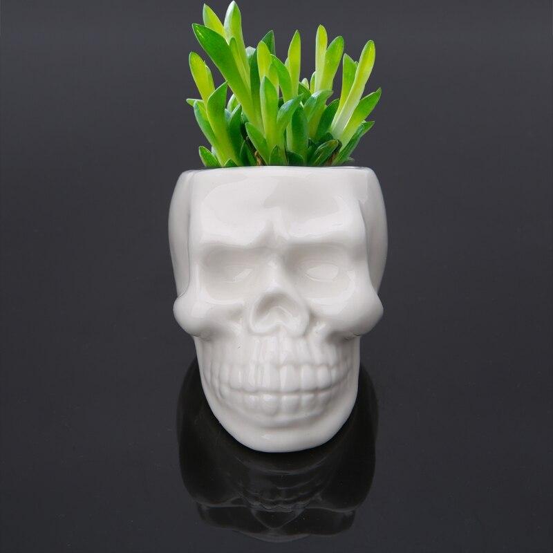 Lisslune | Skull Flower Pot
