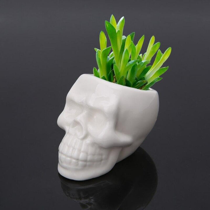 Lisslune | Skull Flower Pot