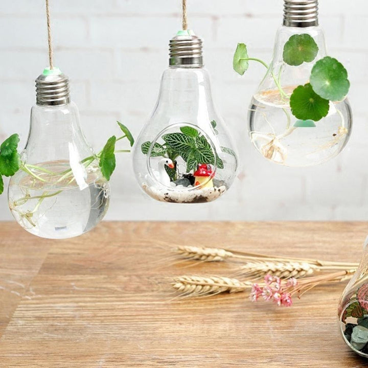 Lisslune | Hanging Glass Light Bulb Lamp Shape Flower Water Plant