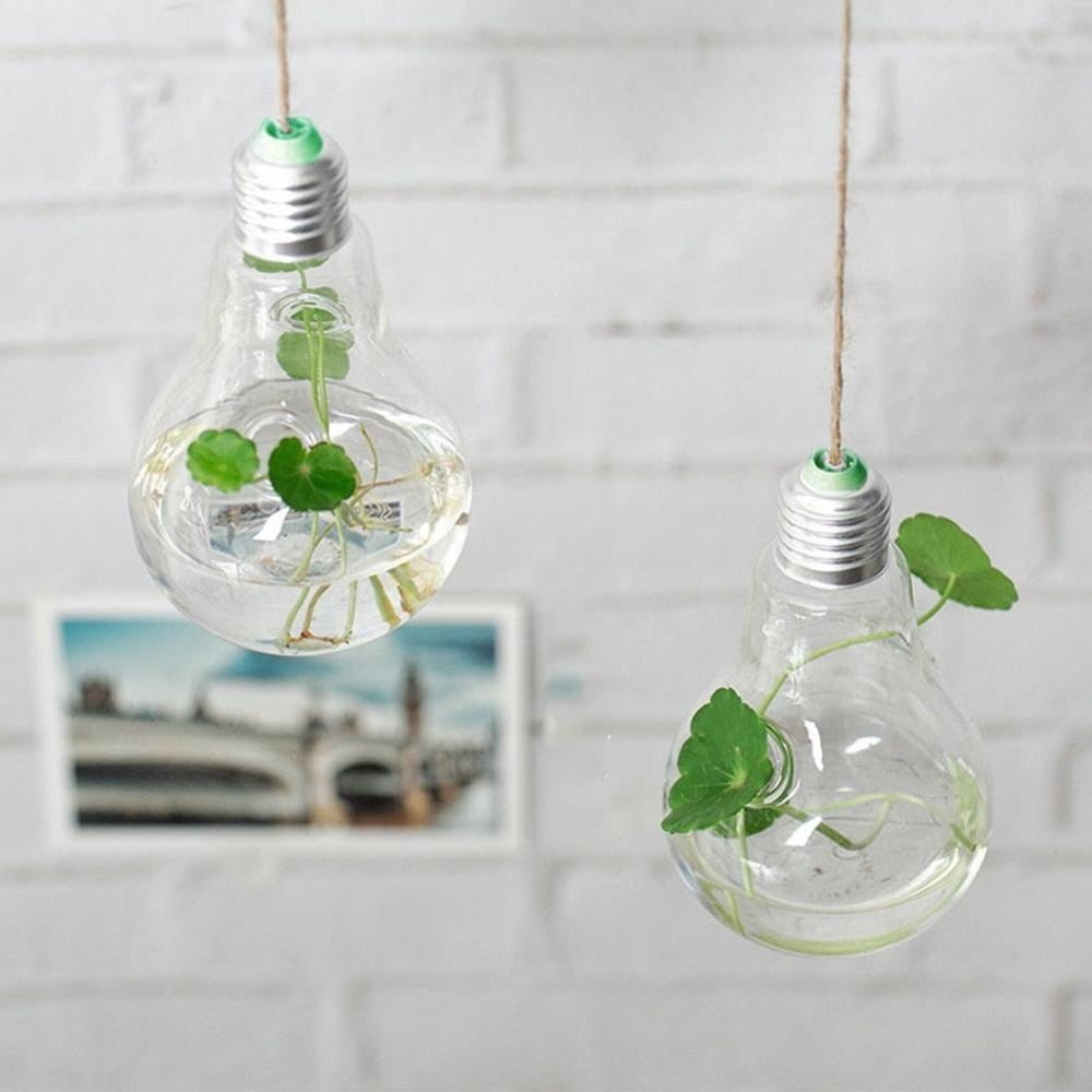 Lisslune | Hanging Glass Light Bulb Lamp Shape Flower Water Plant