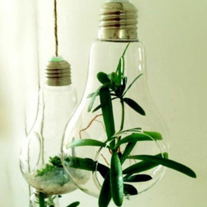 Lisslune | Hanging Glass Light Bulb Lamp Shape Flower Water Plant