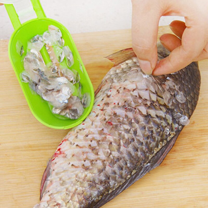 Lisslune | Fish Cleaner Gadget