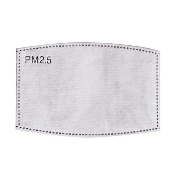 Lisslune | PM 2.5 Face Mask Filter Activated Carbon Breathing (filter only)