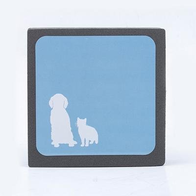 Lisslune | Pet hair cleaning sponge