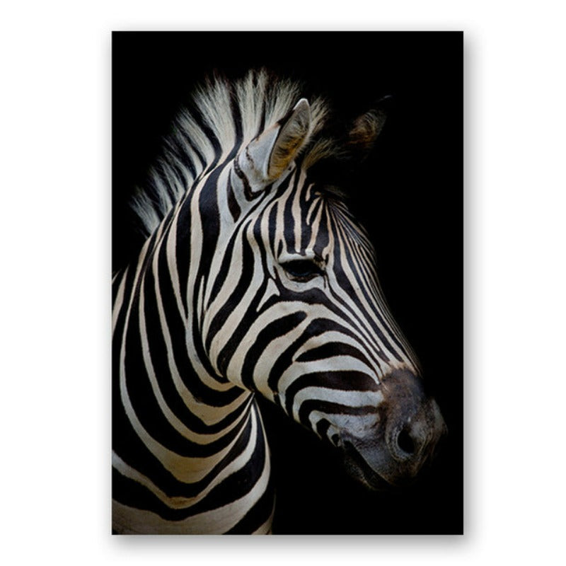 Lisslune | Nature Wild Animals Africa Wildlife Black White - Canvas Wall Art Painting
