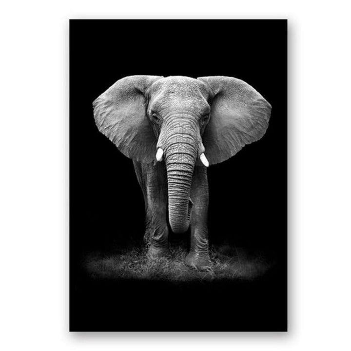 Lisslune | Nature Wild Animals Africa Wildlife Black White - Canvas Wall Art Painting