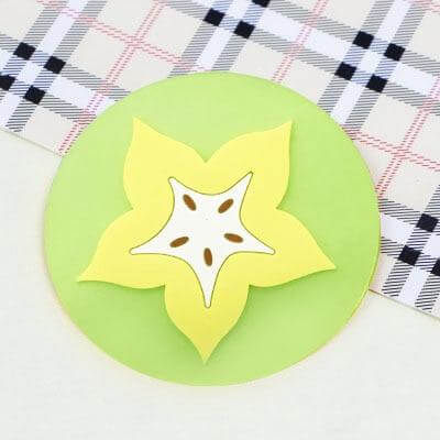 Lisslune | 5pcs Silicon Custom Fruit Coasters
