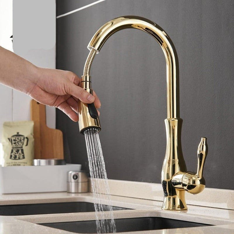 Lisslune | Modern Pull-Out Kitchen Mixer Tap – Stainless Steel 360° Swivel with Extendable Spray Head