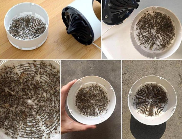Lisslune | Master Electric Mosquito Zapper