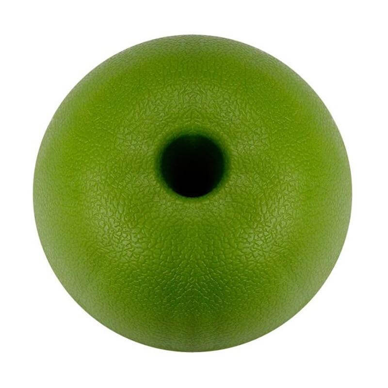 Lisslune | Lemon Shape 10 Grids Ice Mold