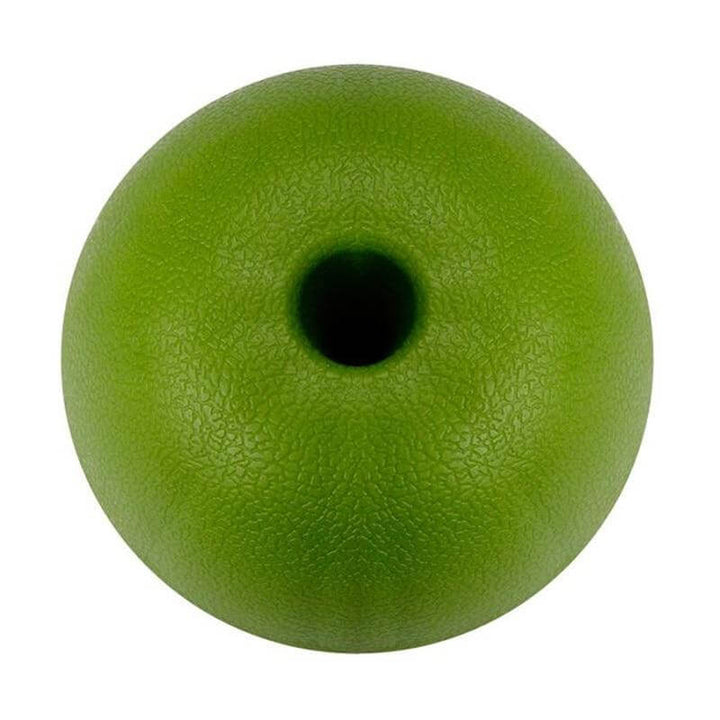 Lisslune | Lemon Shape 10 Grids Ice Mold