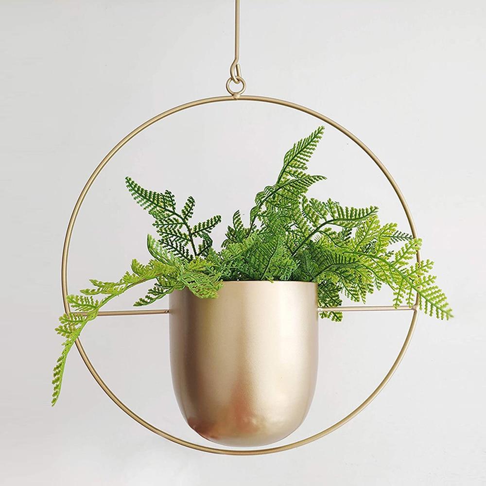 Lisslune | FloraFrame LED botanical wall art