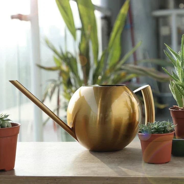 Lisslune | AquaSleek - Precision watering can for delicate plants