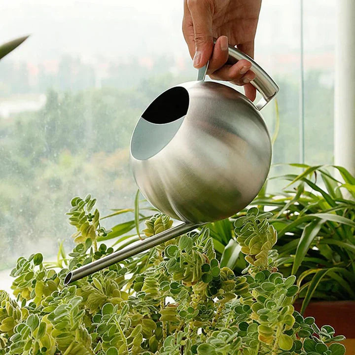 Lisslune | AquaSleek - Precision watering can for delicate plants