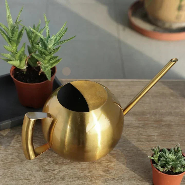 Lisslune | AquaSleek - Precision watering can for delicate plants