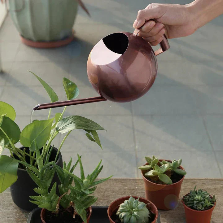 Lisslune | AquaSleek - Precision watering can for delicate plants