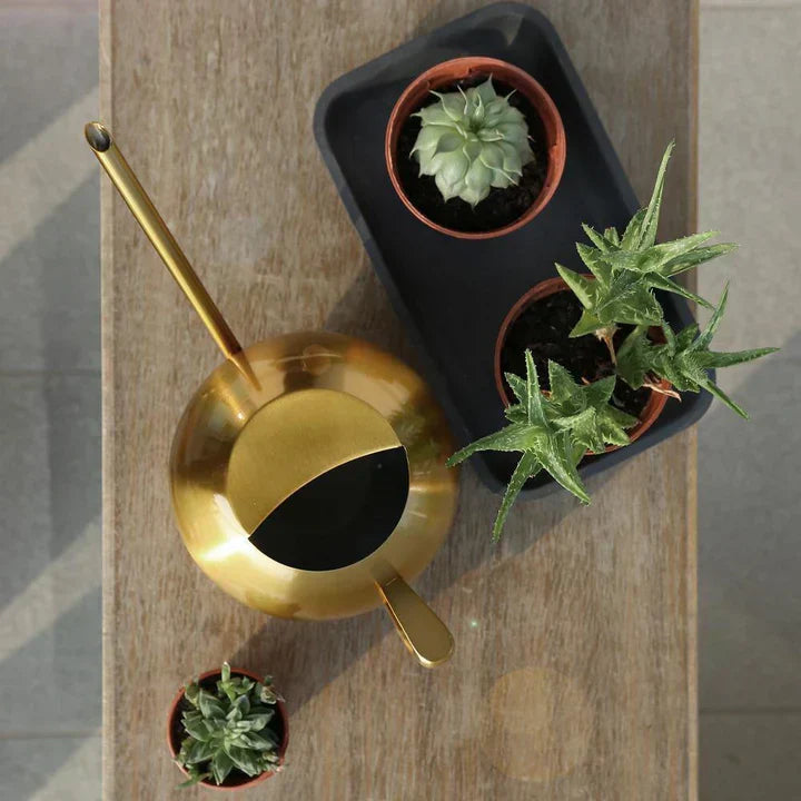 Lisslune | AquaSleek - Precision watering can for delicate plants