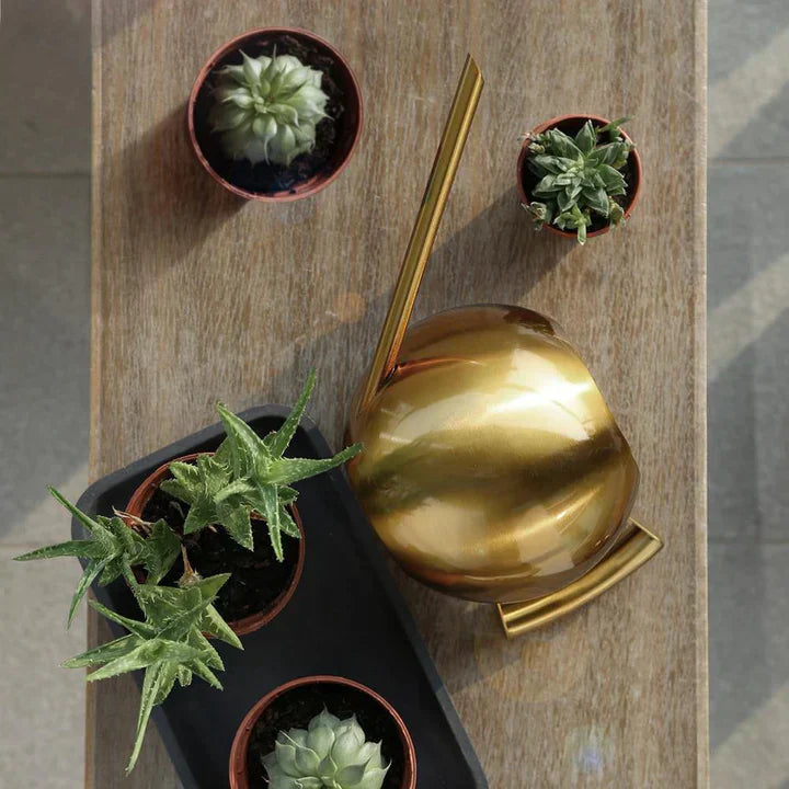 Lisslune | AquaSleek - Precision watering can for delicate plants