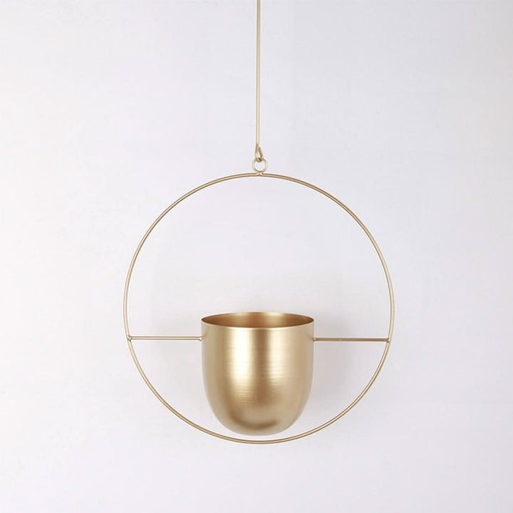 Lisslune | Wall Hanging Metal Plant Holder – FloraFrame