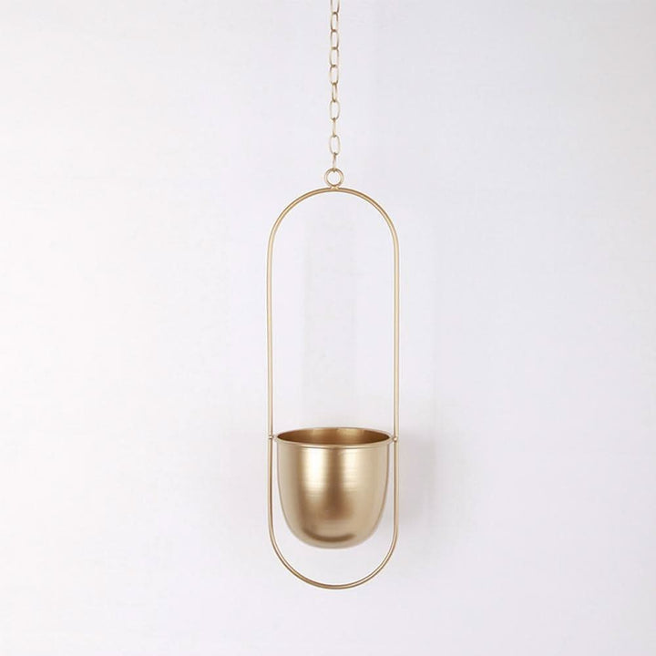 Lisslune | Wall Hanging Metal Plant Holder – FloraFrame