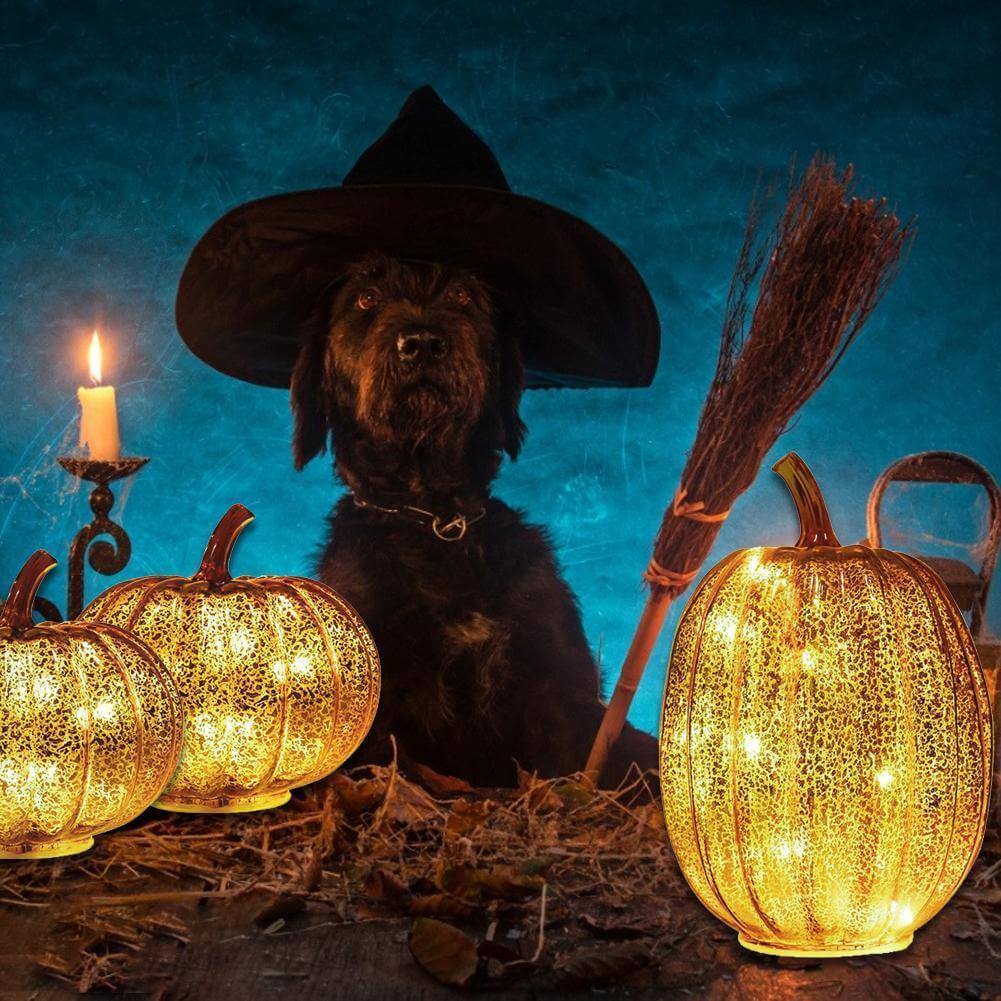 Lisslune | Pumpkin Luminous Halloween Decorative Lamp