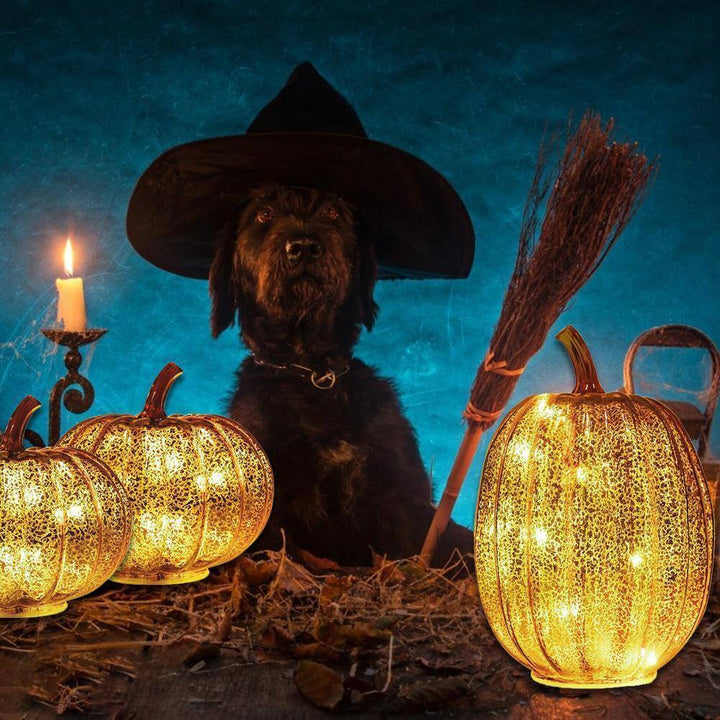 Lisslune | Pumpkin Luminous Halloween Decorative Lamp