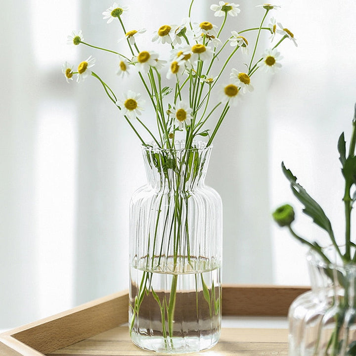 Lisslune | Petal-Textured-Glass Accents & Vases