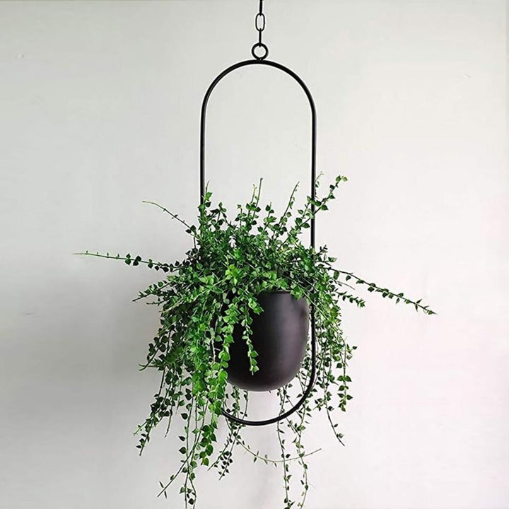 Lisslune | The Lyra Hanging Plant Pots Collection