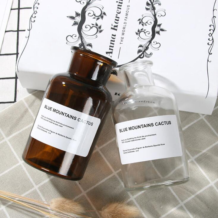 Lisslune | Glass Bottle Vase
