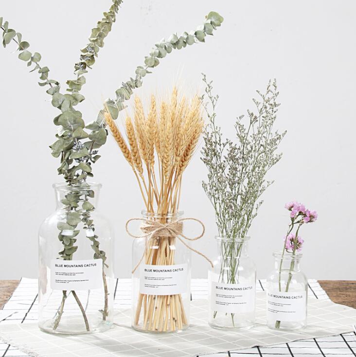 Lisslune | Glass Bottle Vase