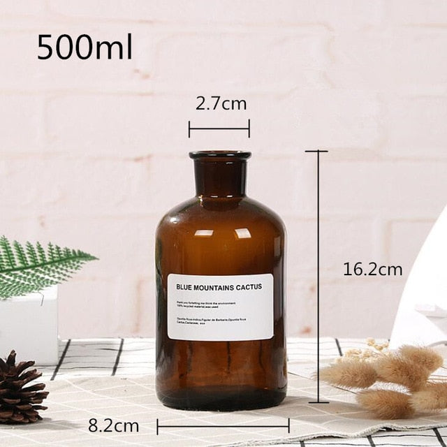 Lisslune | Glass Bottle Vase