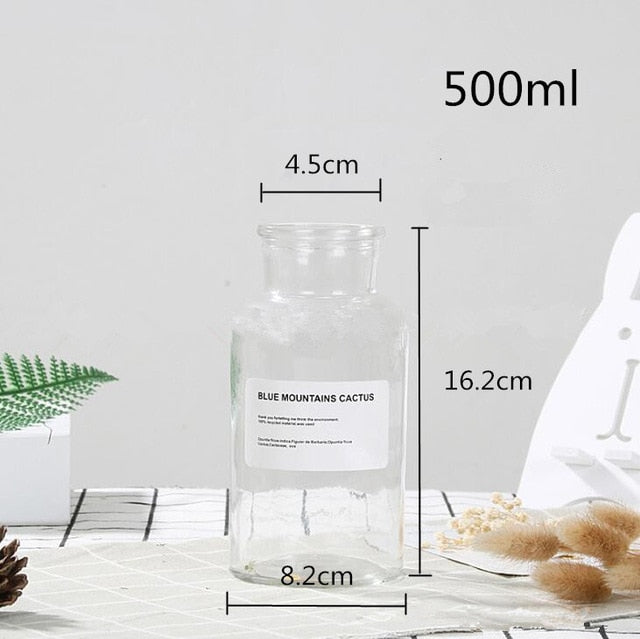 Lisslune | Glass Bottle Vase